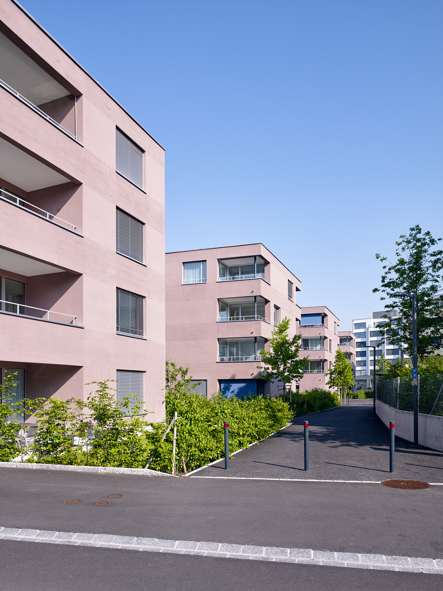 E15551 Alpa 050992 SCREEN